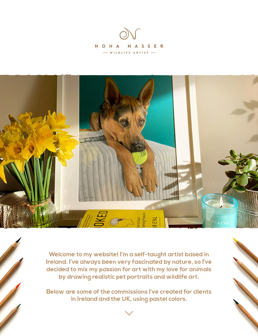 I'm a pet portrait and wildlife artist based in Ireland. I create highly realistic custom pet portraits with soft pastel colors and here are some of the commissions I created for clients around Ireland and the UK.