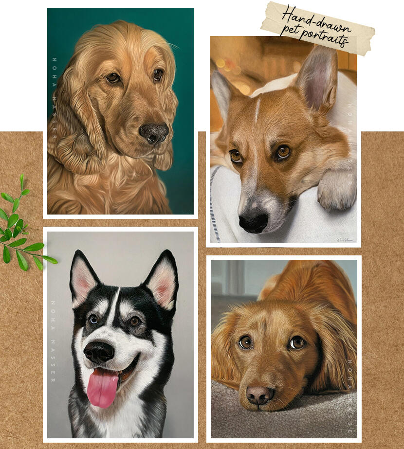 Handdrawn Pet Portraits by Noha Nasser. Dog portraits and cat portraits.