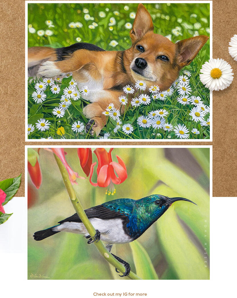 Handdrawn Pet Portraits by Noha Nasser. Dog portraits and cat portraits.